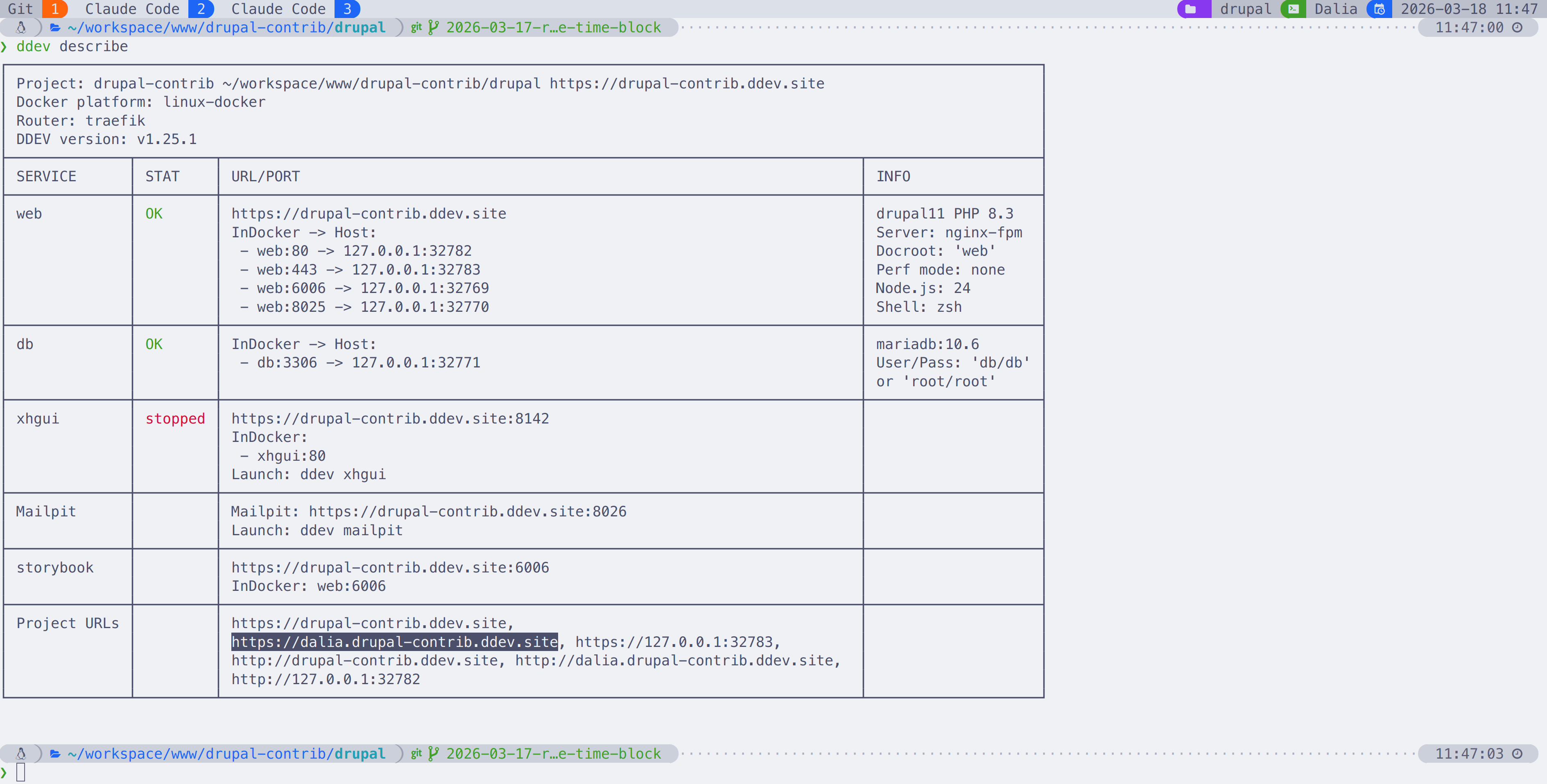 Output of ddev describe showing the Dalia service URL